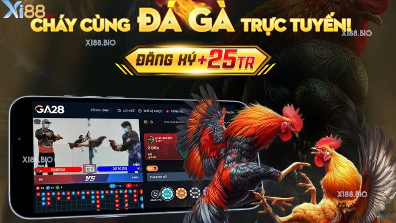 Lý do giúp đá gà Xi88 thu hút người chơi tham gia